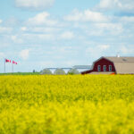 barn with Canada flags